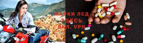 ешки Аркадак