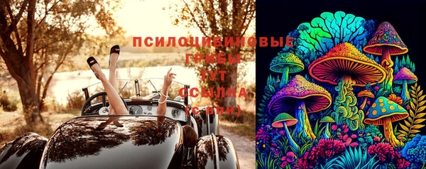 spice Балахна