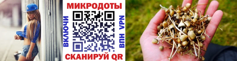 где купить наркоту blacksprut как зайти маркетплейс состав Приволжск Псилоцибиновые грибы Psilocybe